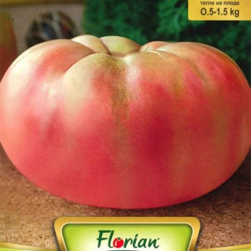 Rosii Gigant Roz - 0.5 gr - Seminte de Tomate Gigant Roz Soi Nedeterminat Semitimpuriu Florian Bulgaira