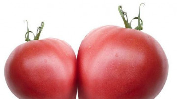 Rosii Inima Roz - 0.2 gr - Seminte tomate nedeterminate semitimpurii bulgaresti Soi rosii Mari