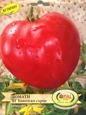 Rosii Gigant Inima de Bivol Rosu – 0.5 gr – Seminte tomate mari soi Gigant bulgaresc Opal